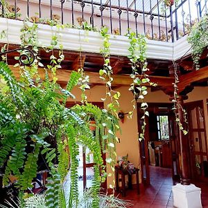 Hotel Casa Sofia